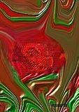 rose.jpg image by hssofia